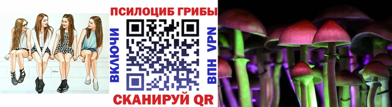Псилоцибиновые грибы Psilocybine cubensis  Бирюсинск 
